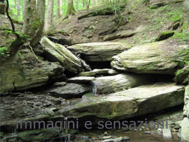 ottobre