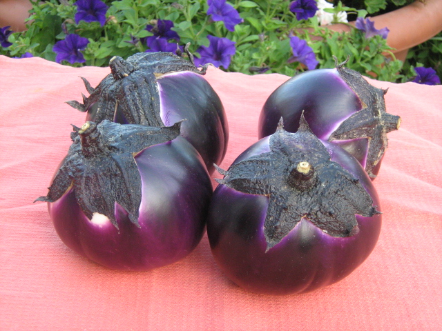 ricette con le melanzane