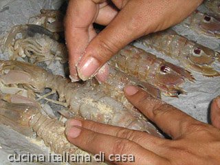 inserite un poco del misto di pane e odori nelle canocchie