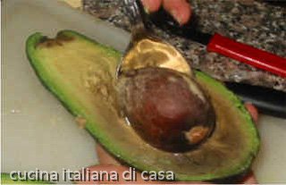 avocado