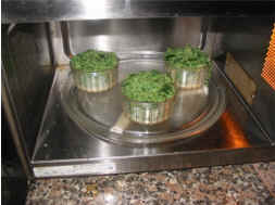sformato di pinaci al gorgonzola: cottura al microonde