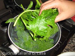 cime di rapa