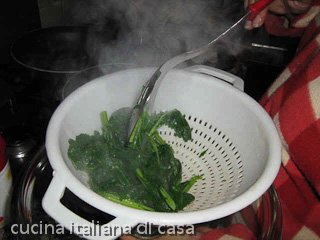 cime di rapa