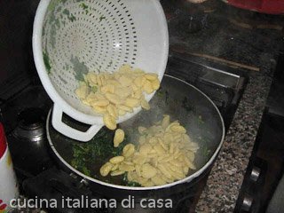 scolate le orecchiette