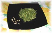 trofie al pesto genovese