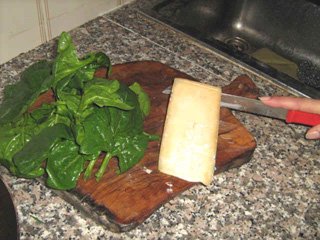 fontina